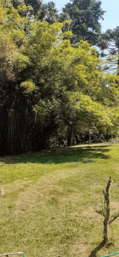 Pousada Pedacinho Do Ceu- Chale 1 Cunha Bagian luar foto